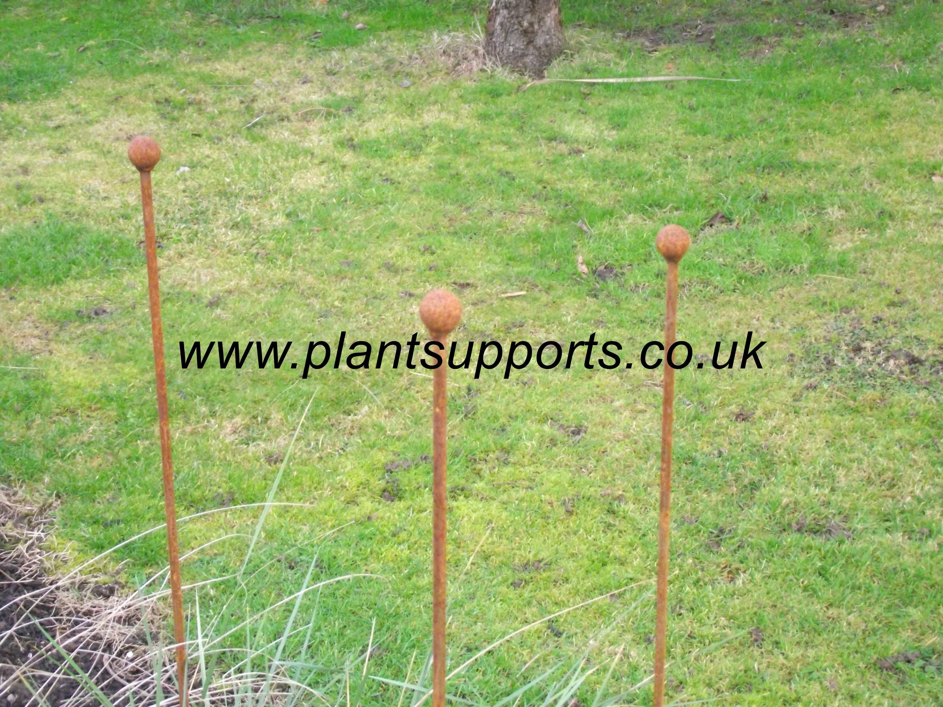 Iron Plant Stake Pack of 3 102cm high A0075 Iron Plant Stake Pack of 3 102cm high A0075